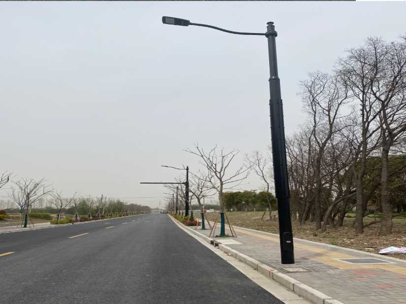 大关县上海综合杆 太阳能路灯工程